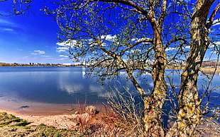 landscape photography of lake HD wallpaper