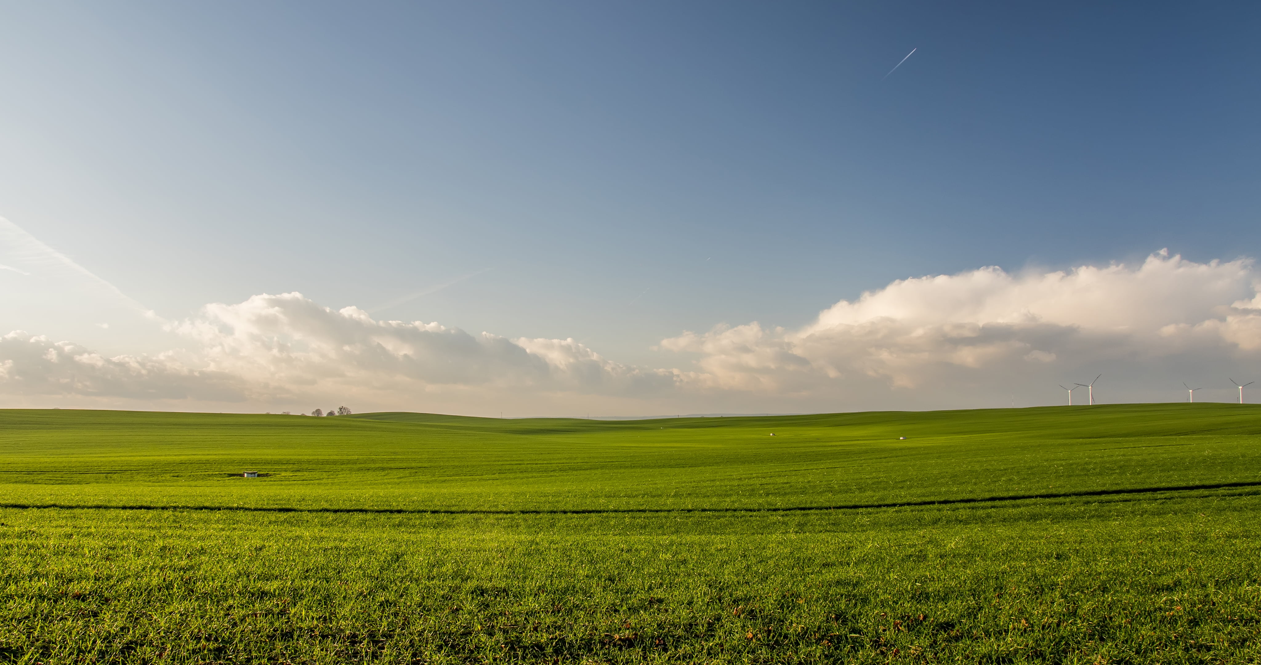 landscape, nature, sky, field