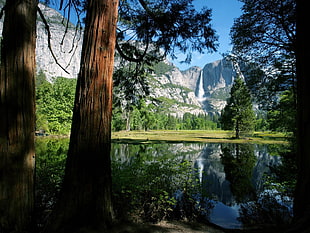 Shadow,  Trunks,  Trees,  Lake