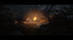 man sitting on the ground near bonfire at the woods illustration, brothers - A tale of two sons, bonfires