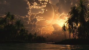 coconut trees, landscape