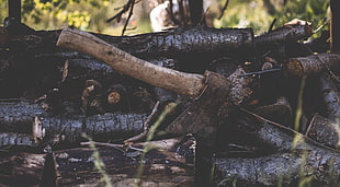 brown handled axe, Ax, Firewood, Logs