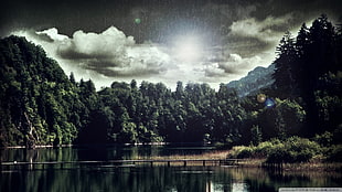 lake and trees, nature, lake, trees, rain HD wallpaper