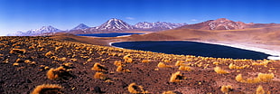 brown sand, panoramas, desert, mountains, Chile
