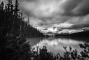body of water, monochrome, lake, forest, building