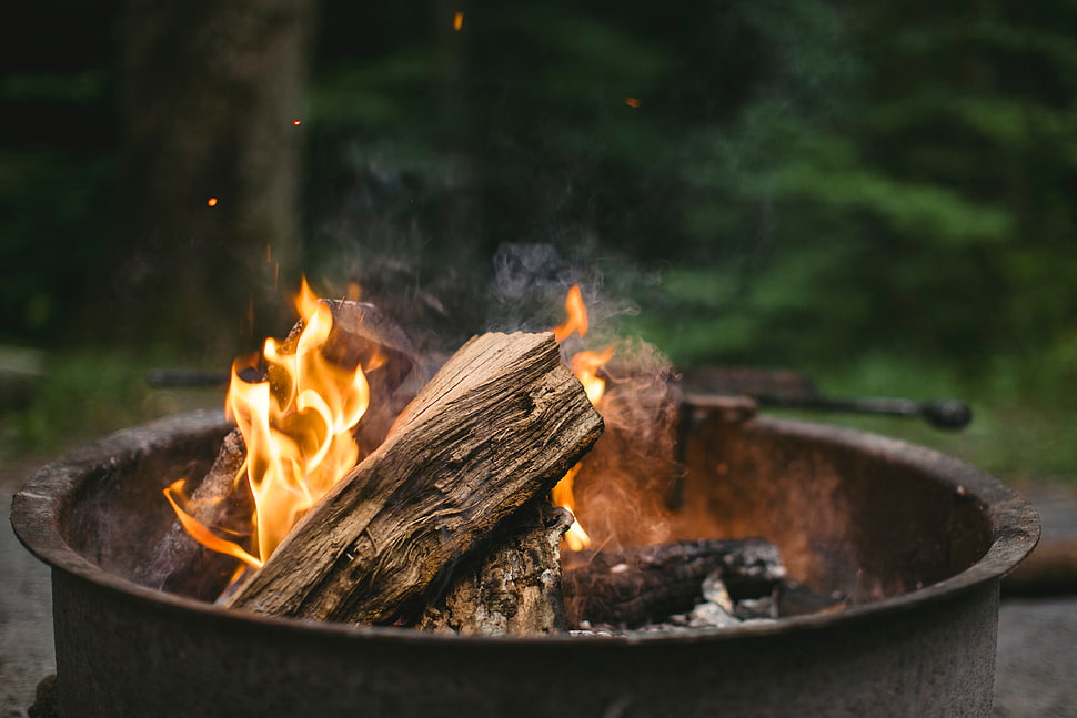 burned firewood in brown metal firepit HD wallpaper