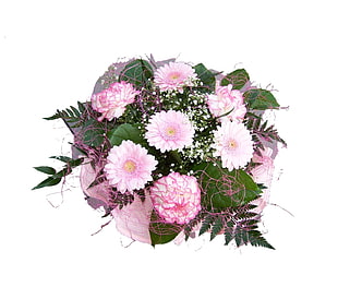 pink and white daisy and carnation bouquet flowers