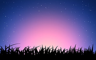 silhouette photo of grass with stars on sky