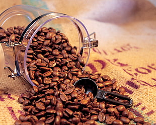 spilled coffee beans from clear glass jar HD wallpaper