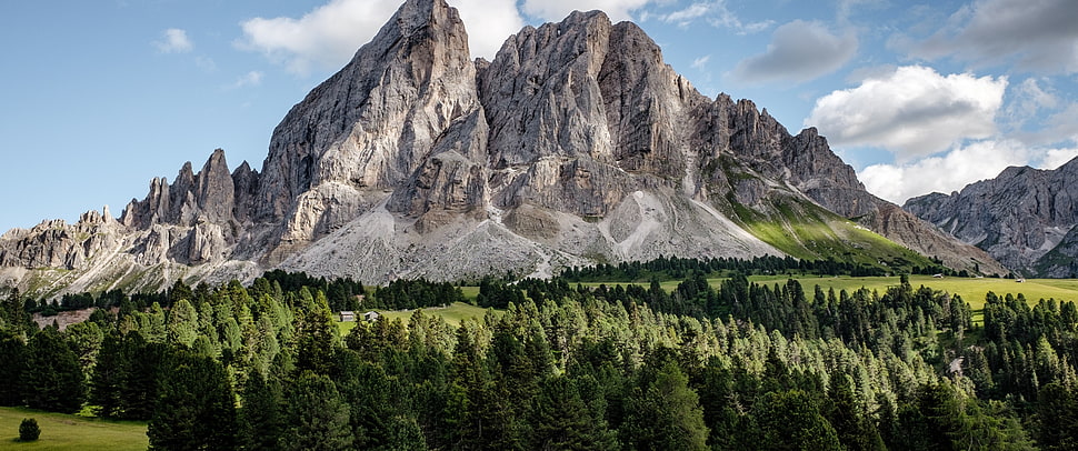 green trees and gray mountains, ultrawide, mountains, forest, landscape HD wallpaper