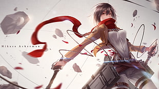 Mikasa of Attack of Titans HD wallpaper