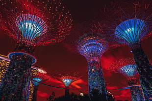 Garden by the Bay, Singapore, cloud city, lights, night, architecture HD wallpaper