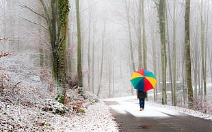 person holding umbrella standing on pathway between trees during winter