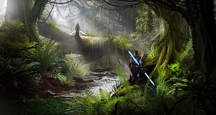 forest wallpaper, Jedi, lightsaber, Sith, forest HD wallpaper