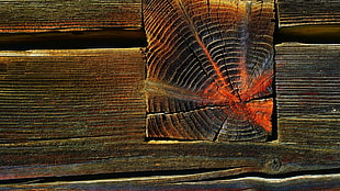 abstract wood decor