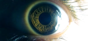 person's eye, eyes
