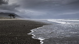 body of water, New Zealand, coast, sea, landscape HD wallpaper