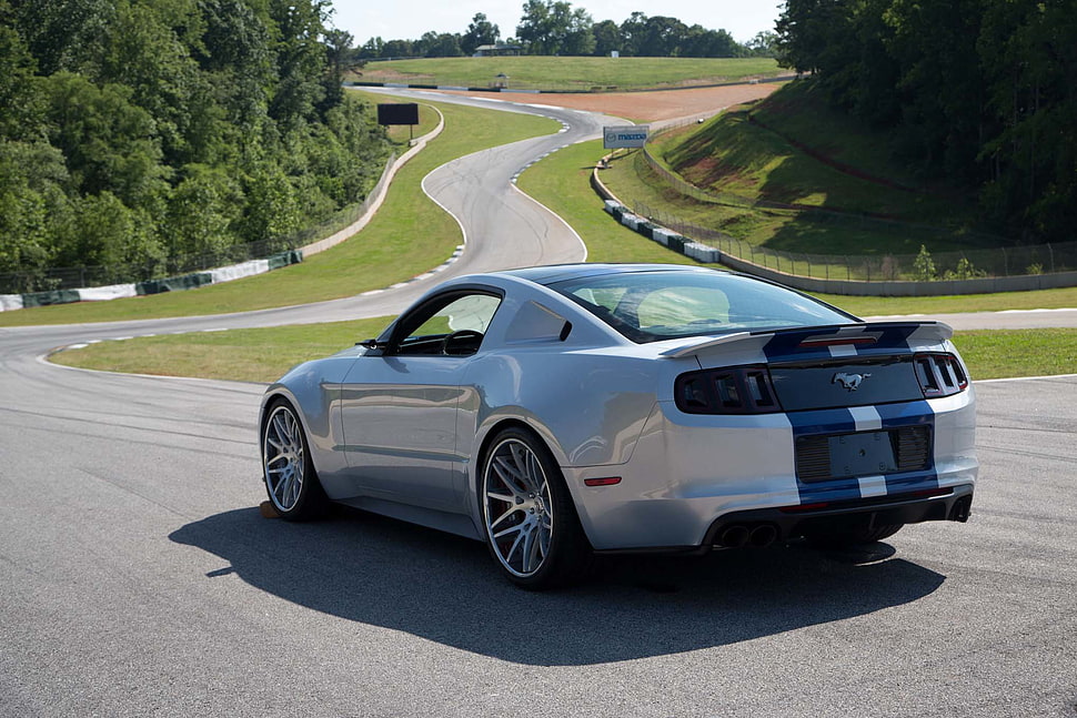 gray Ford Mustang, Ford Mustang, muscle cars, car, vehicle HD wallpaper