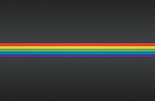 rainbow colors, rainbows, carbon fiber  HD wallpaper