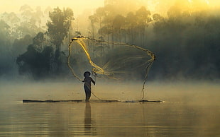 beige fish net, nature, landscape, mist, forest HD wallpaper