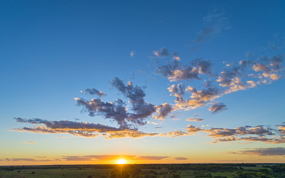 golden hour under blue sky HD wallpaper