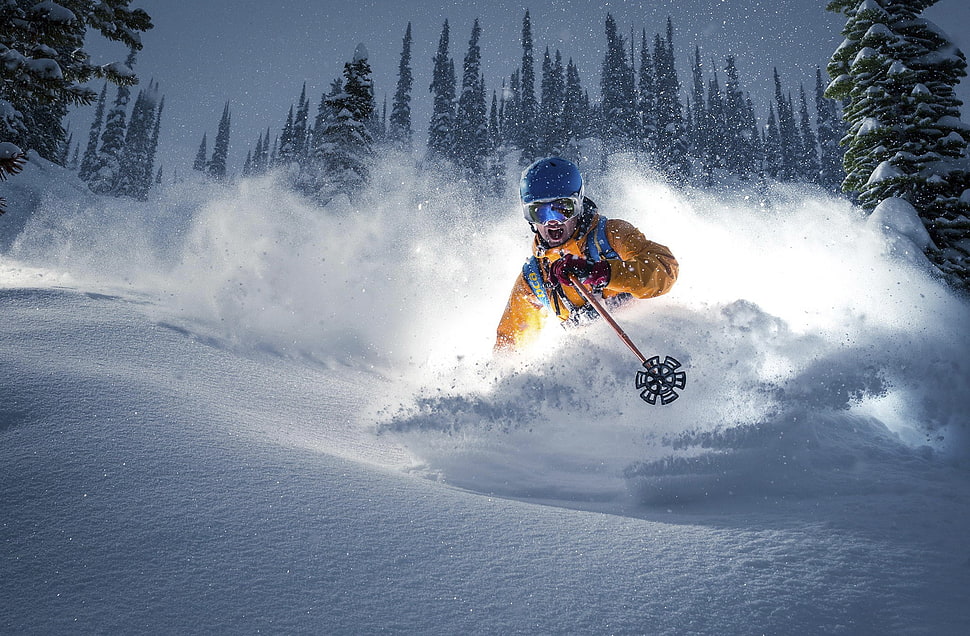 yellow jacket, sport , skiing HD wallpaper