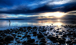 low-tide placid water during golden hour HD wallpaper