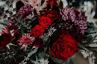 assorted-color flower arrangement, Bouquet, Composition, Flowers
