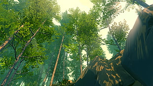Legend of Zelda Breath of Wild game screenshot HD wallpaper