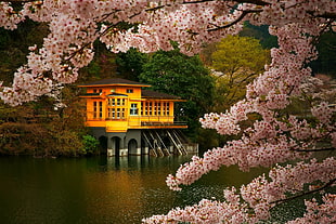 brown house near body of water and trees during daytime HD wallpaper