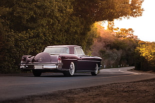 classic black coupe on roadway near green leaf trees at golden hour