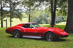 red Chevrolet Corvette C3 on green lawn grass HD wallpaper