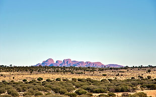 land field near brown rocky mountains