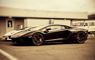 black and white coupe die-cast model, Lamborghini, Lamborghini Aventador LP700-4, Lamborghini Aventador, car HD wallpaper
