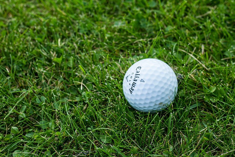 white Callaway 4 golf ball on green grass HD wallpaper