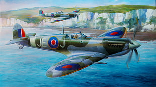 gray, green, and blue monoplane illustration, World War II, military, aircraft, military aircraft