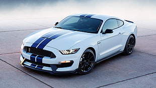 white and blue Shelby Mustang coupe, car, Ford Mustang Shelby, Shelby GT 350 HD wallpaper