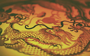 brown, black, and white dragon print textile, dragon, China