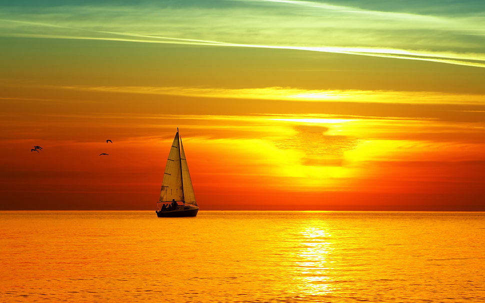 sailing boat on body of water during sunrise HD wallpaper