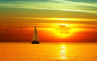 sailing boat on body of water during sunrise
