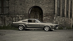 coupe grayscale photo, Ford Mustang, Ford Shelby GT500