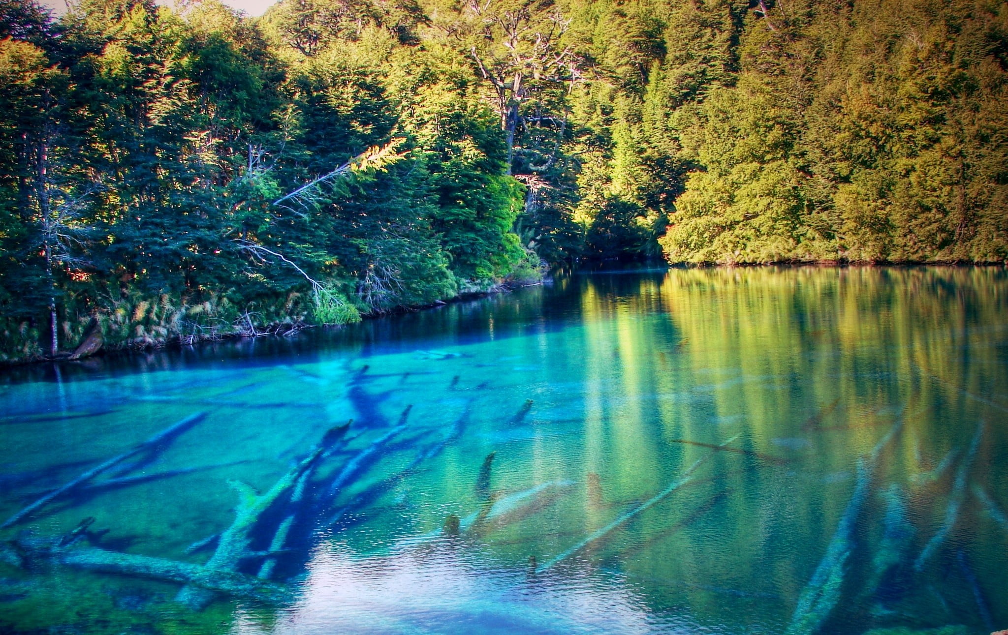 green leafed trees, lake, forest, turquoise, Chile