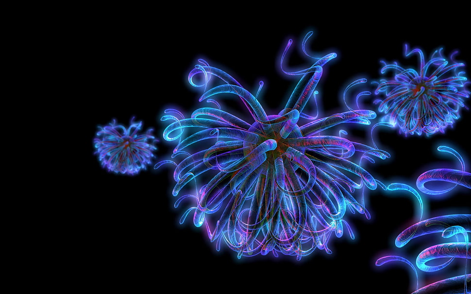 purple jellyfishes HD wallpaper