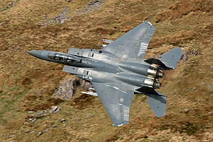 gray fighter aircraft, aircraft, military, F-15, McDonnell Douglas F-15 Eagle