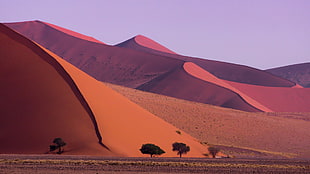 brown dessert, landscape, desert, dune, Namibia HD wallpaper
