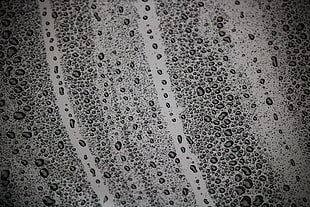 Drops,  Surface,  Moist,  Bw HD wallpaper