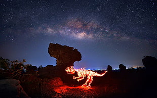 red LED dinosaur light, long exposure, lights, light painting, night
