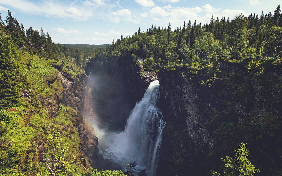 waterfalls and green trees, waterfall, landscape, forest, rock HD wallpaper