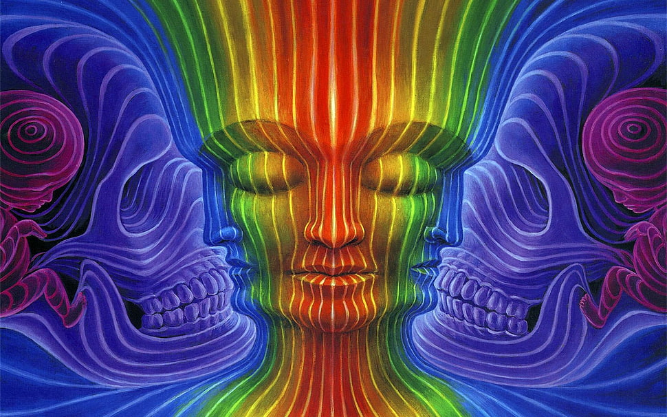skull and face abstract illustration HD wallpaper