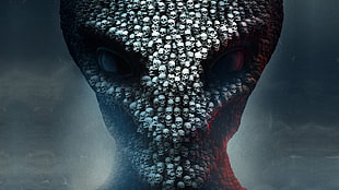 assorted skull head 3D wallpaper